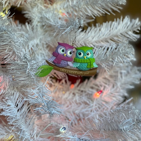 Owl 2 Pc.Christmas Ornament Set - Picture 7 of 9